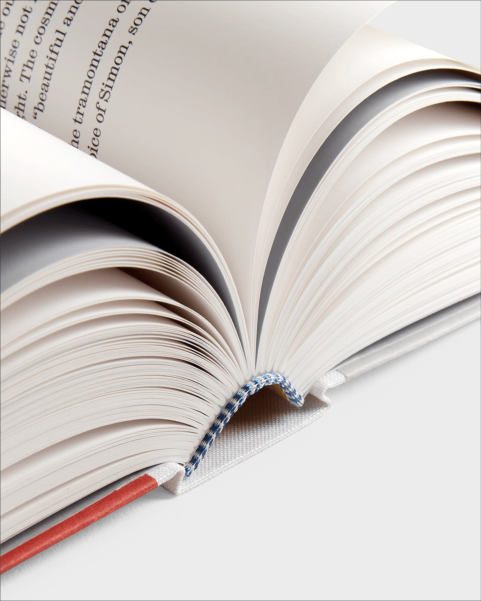 Life with P.: Journals, 1966–1976