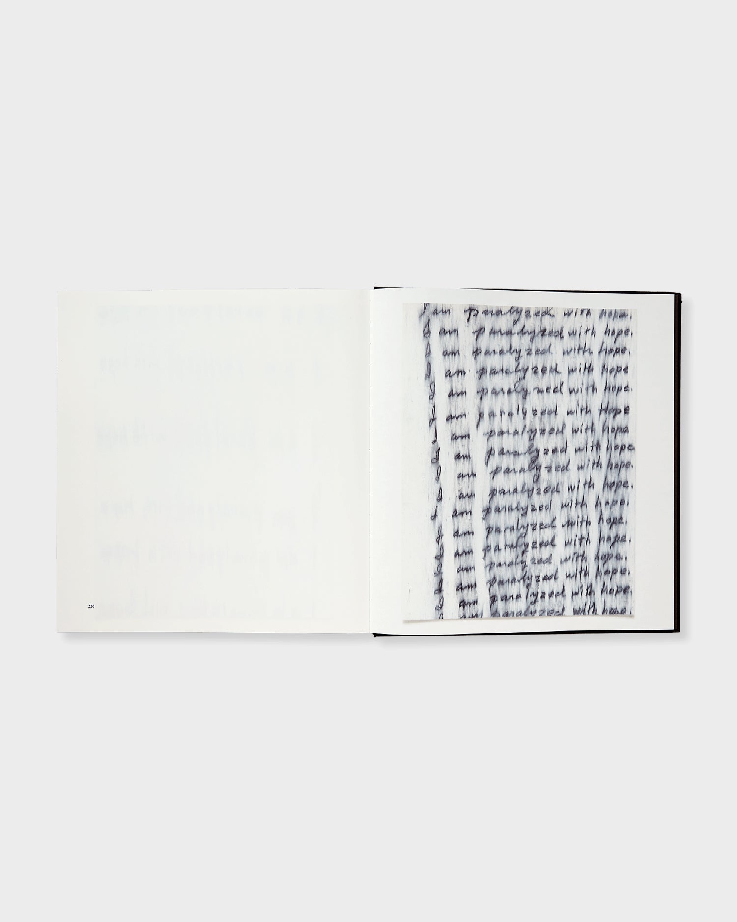 Roni Horn: Seizure of Hope