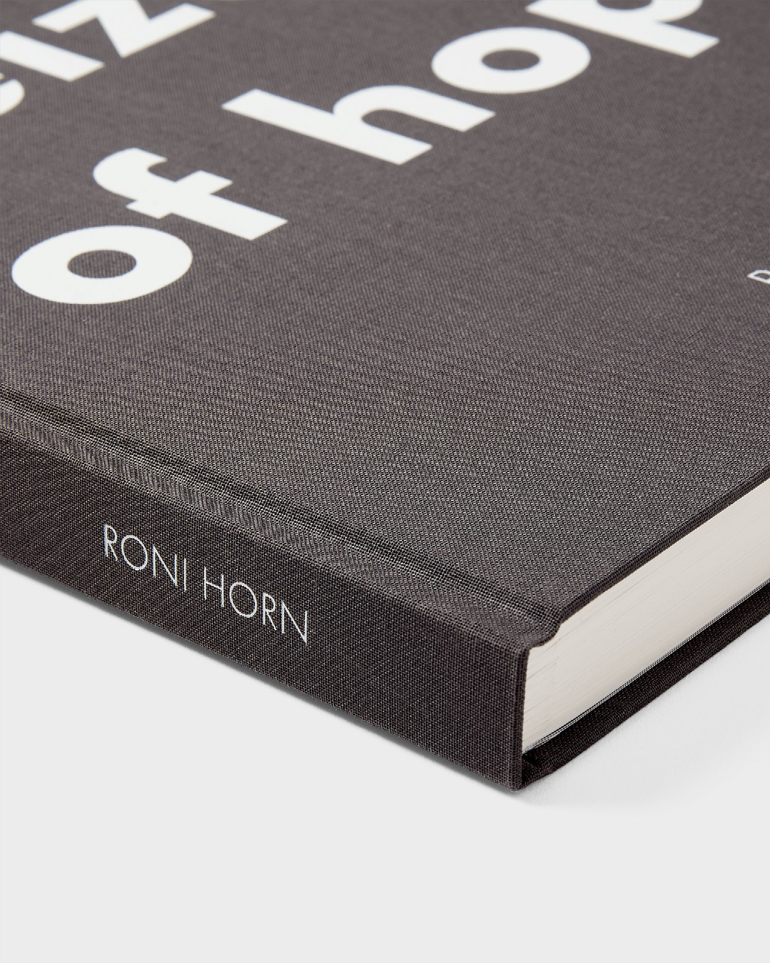 Roni Horn: Seizure of Hope