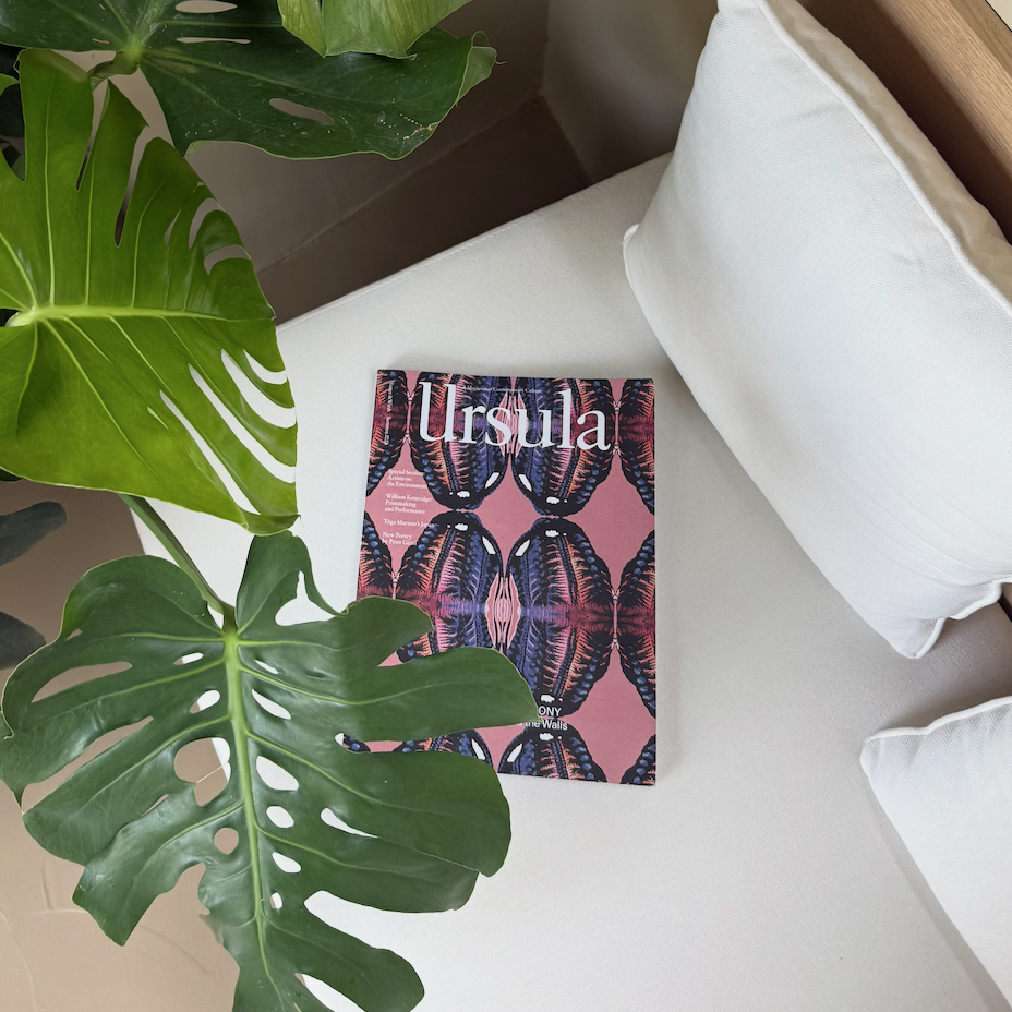 Ursula: Issue 15 Subscription
