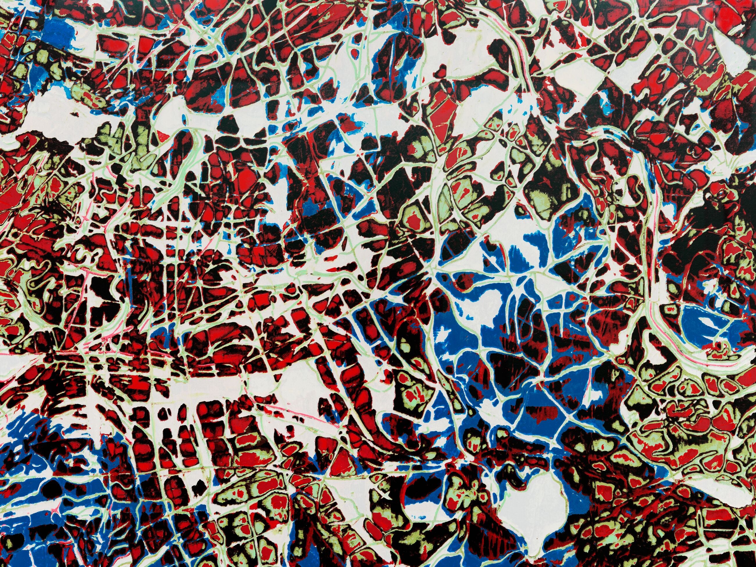 Mark Bradford: Rona