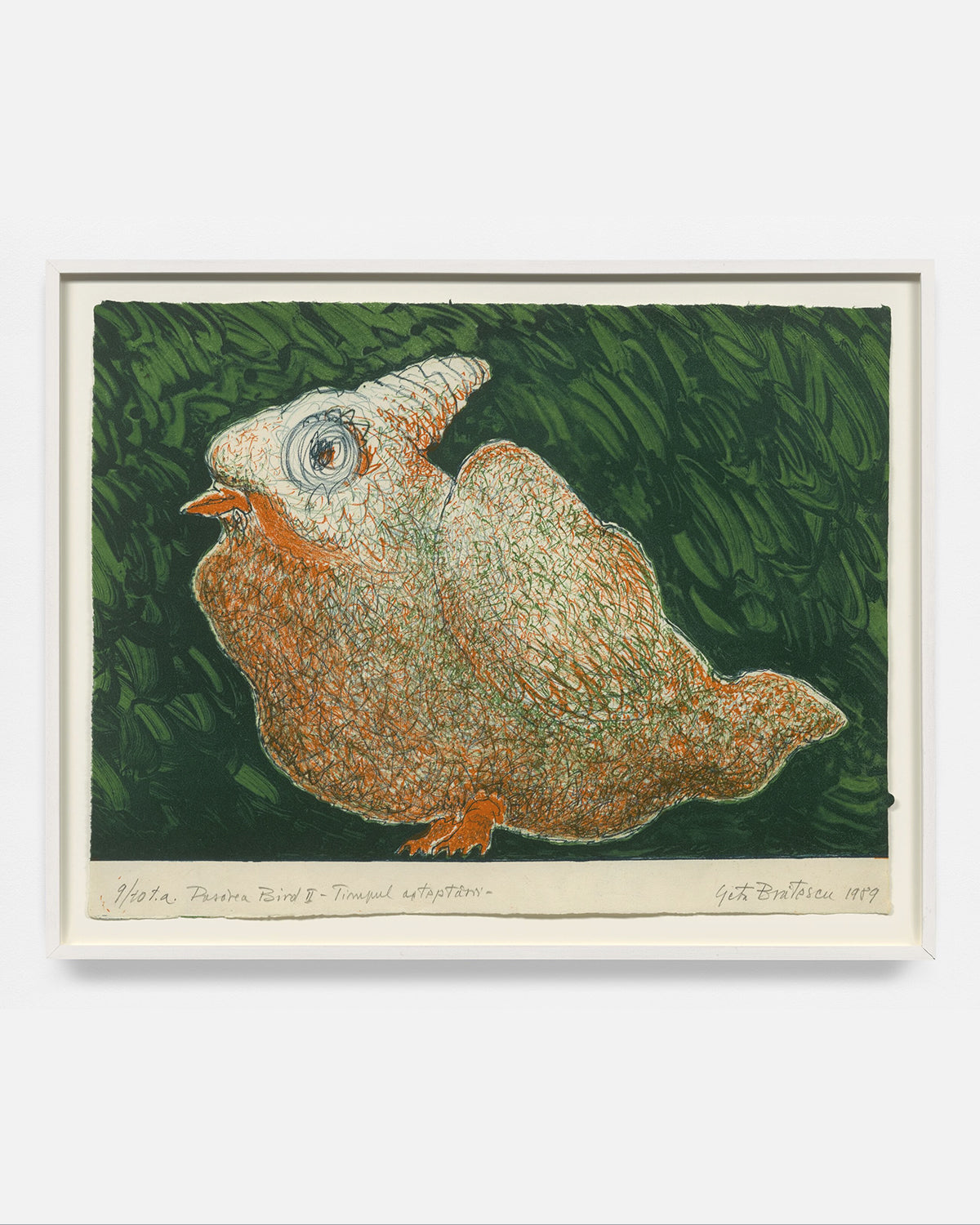 Geta Brătescu: Pasărea Bird (The Bird Bird)