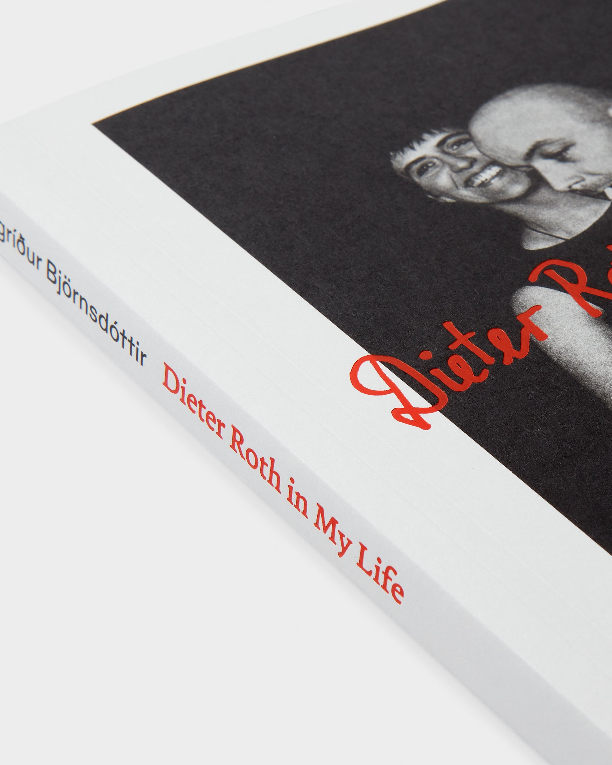 Dieter Roth in My Life: Memories