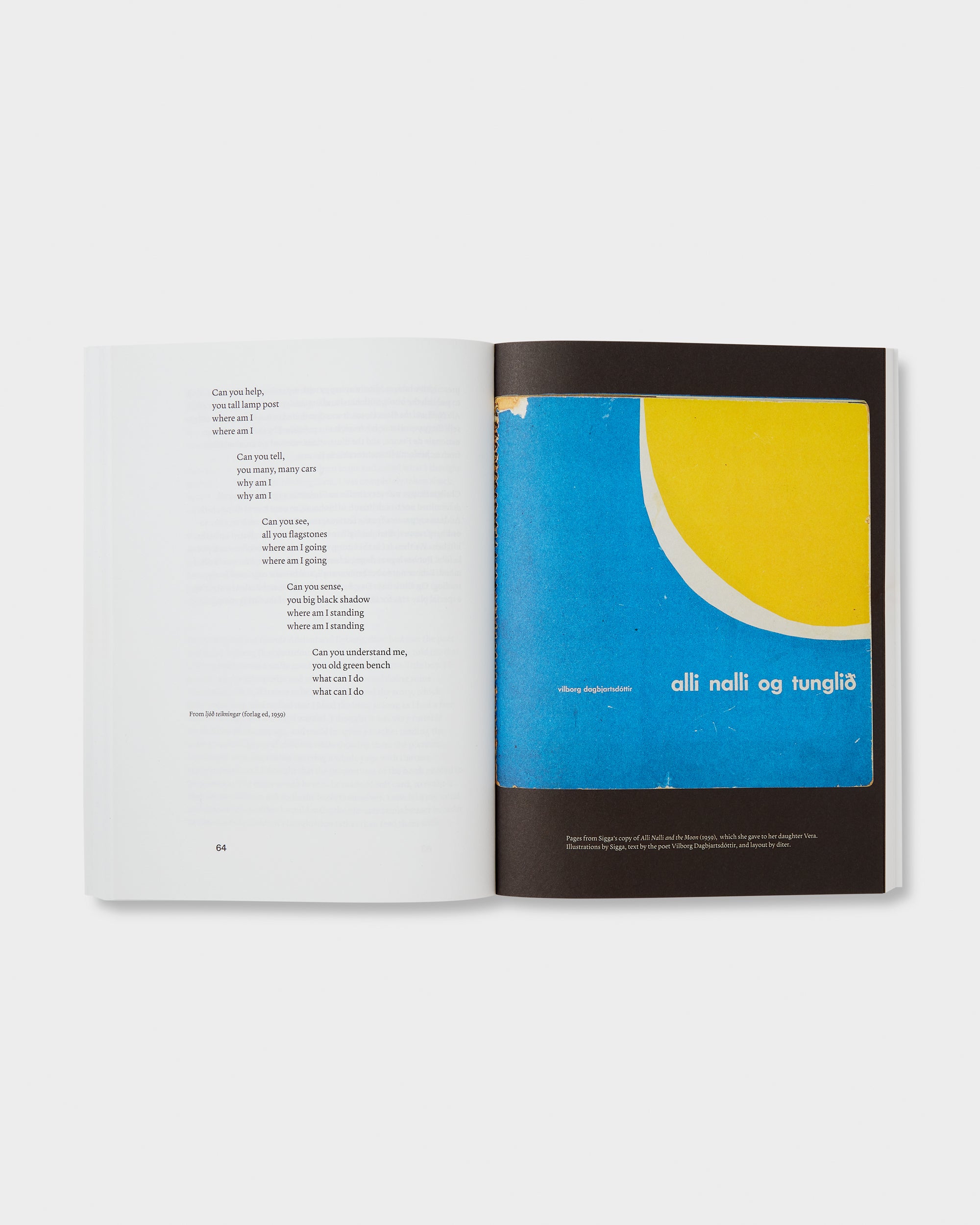 Dieter Roth in My Life: Memories