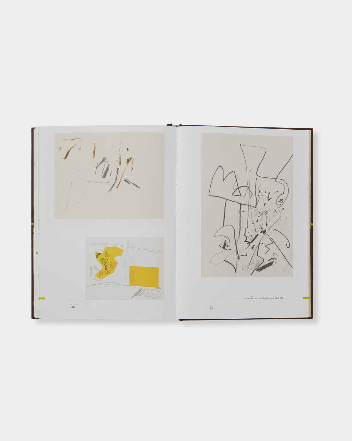 Gustav Metzger: Interviews with Hans Ulrich Obrist