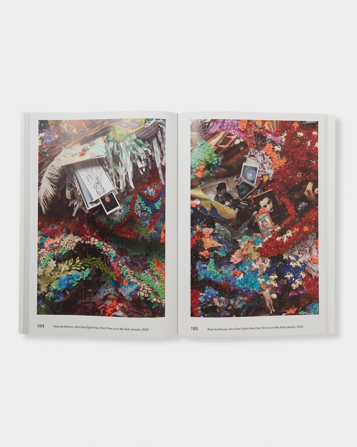 Nonmemory: Mike Kelley with Kelly Akashi, Meriem Bennani, Beatriz Cortez, Raúl de Nieves, Olivia Erlanger, Lauren Halsey, Max Hooper Schneider