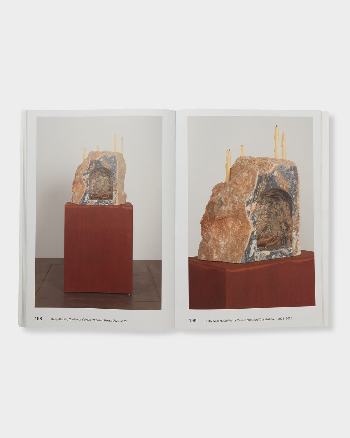 Nonmemory: Mike Kelley with Kelly Akashi, Meriem Bennani, Beatriz Cortez, Raúl de Nieves, Olivia Erlanger, Lauren Halsey, Max Hooper Schneider