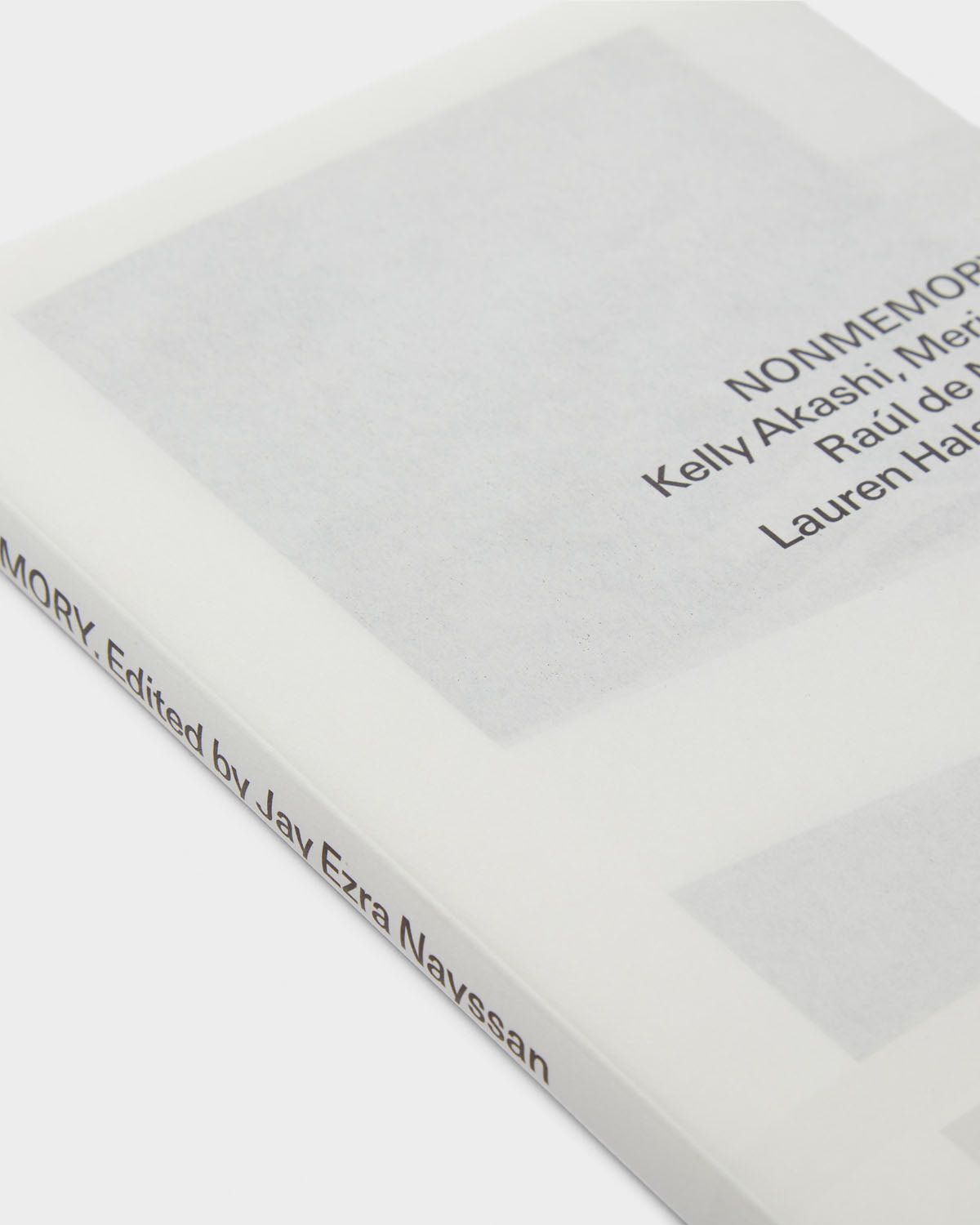 Nonmemory: Mike Kelley with Kelly Akashi, Meriem Bennani, Beatriz Cortez, Raúl de Nieves, Olivia Erlanger, Lauren Halsey, Max Hooper Schneider