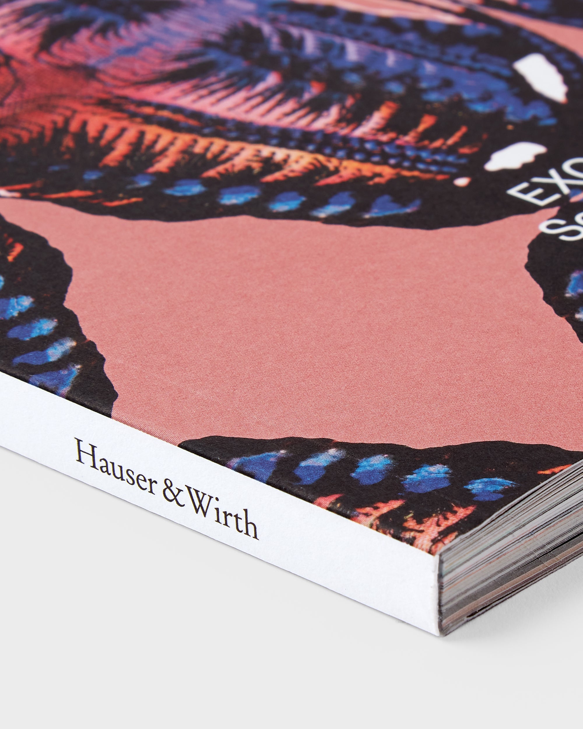Ursula: Issue 13