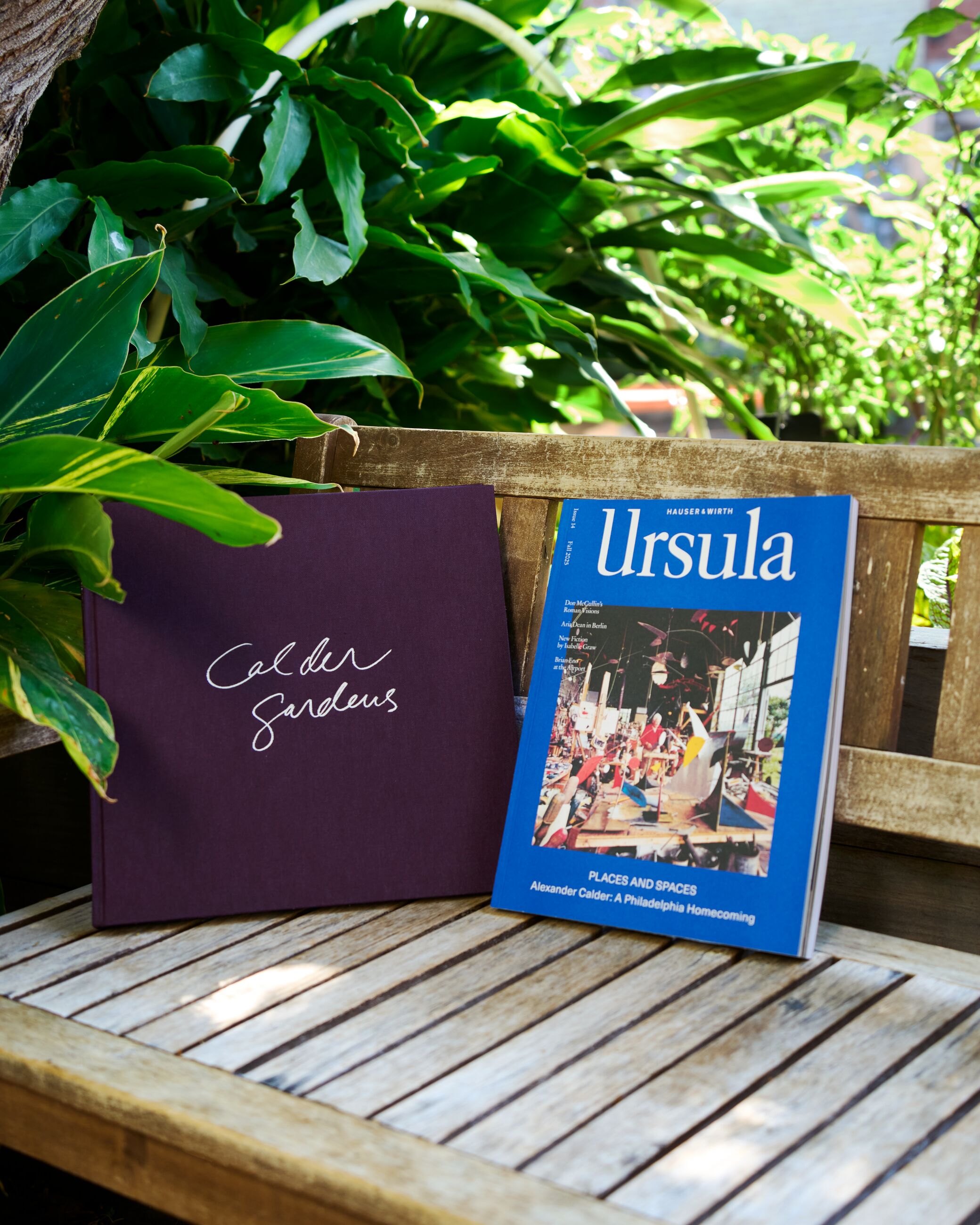 Ursula 14 Bundle