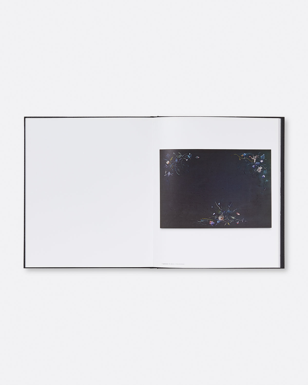Michael Raedecker: Show Default Title