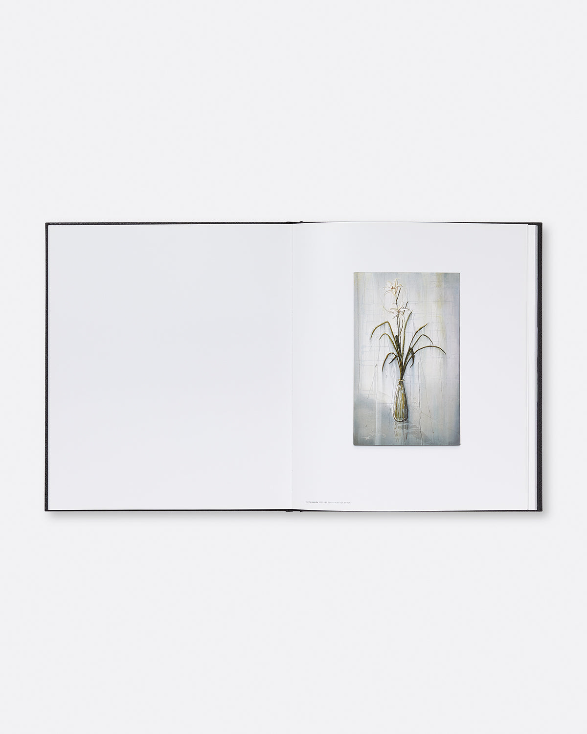 Michael Raedecker: Show Default Title