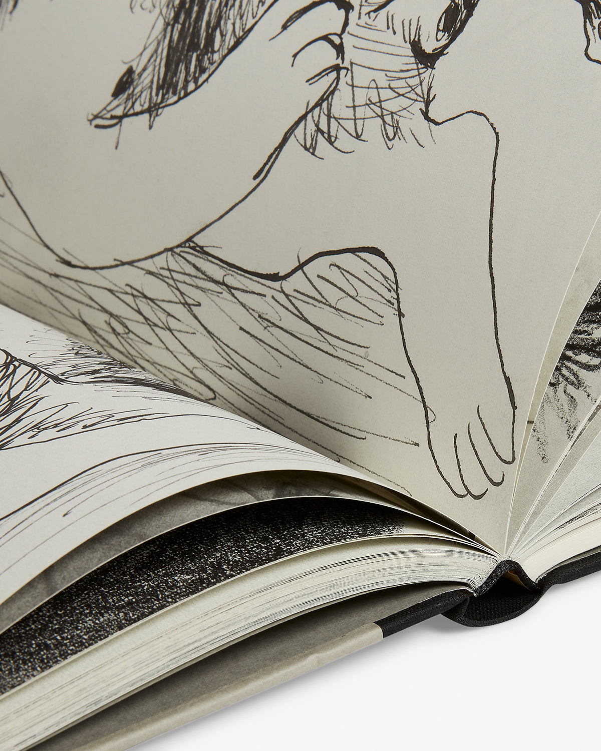 Lee Lozano: Drawings Default Title