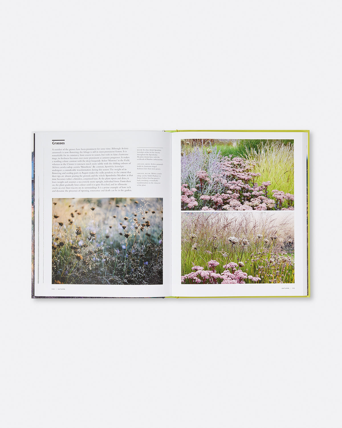Planting the Oudolf Field at Hauser & Wirth Somerset Default Title