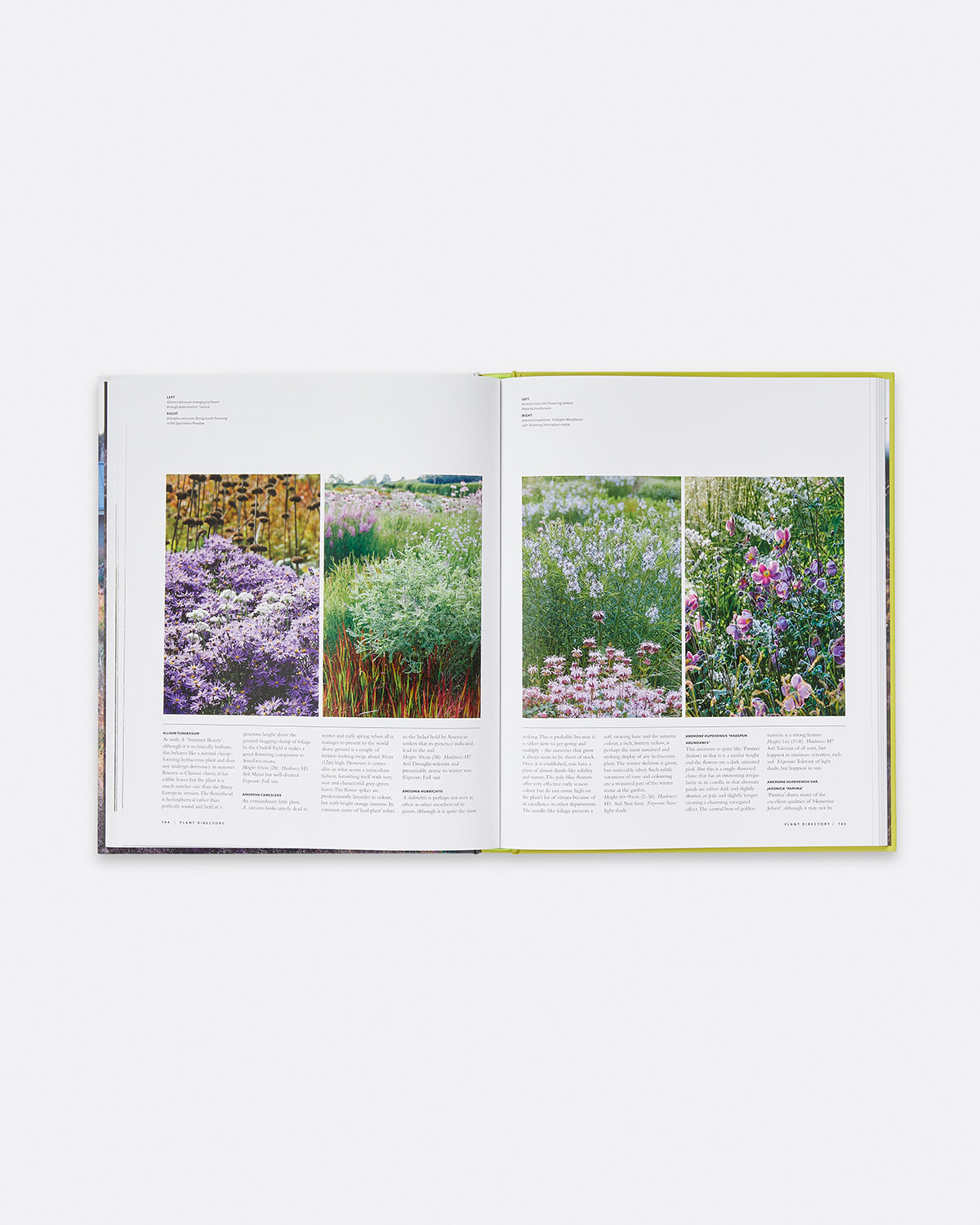 Planting the Oudolf Field at Hauser & Wirth Somerset Default Title