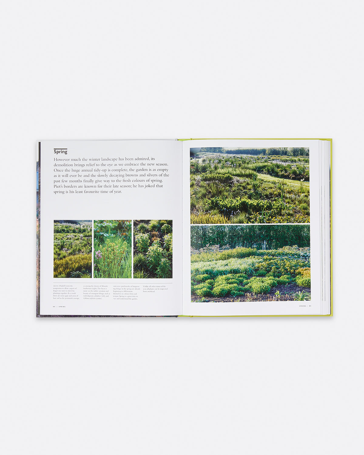 Planting the Oudolf Field at Hauser & Wirth Somerset Default Title