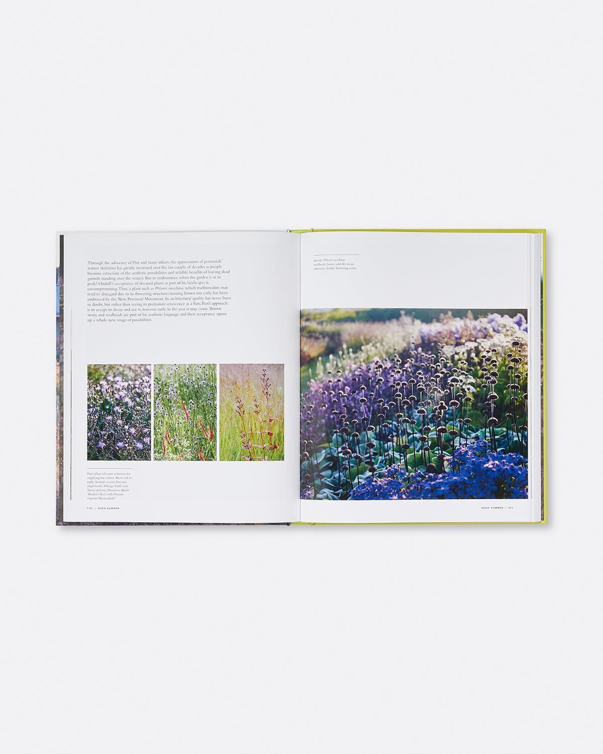 Planting the Oudolf Field at Hauser & Wirth Somerset Default Title