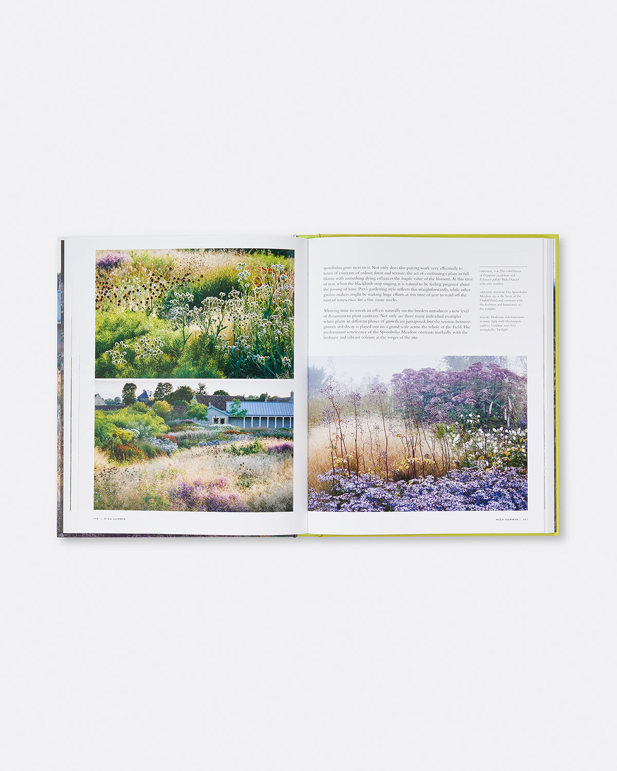 Planting the Oudolf Field at Hauser & Wirth Somerset Default Title