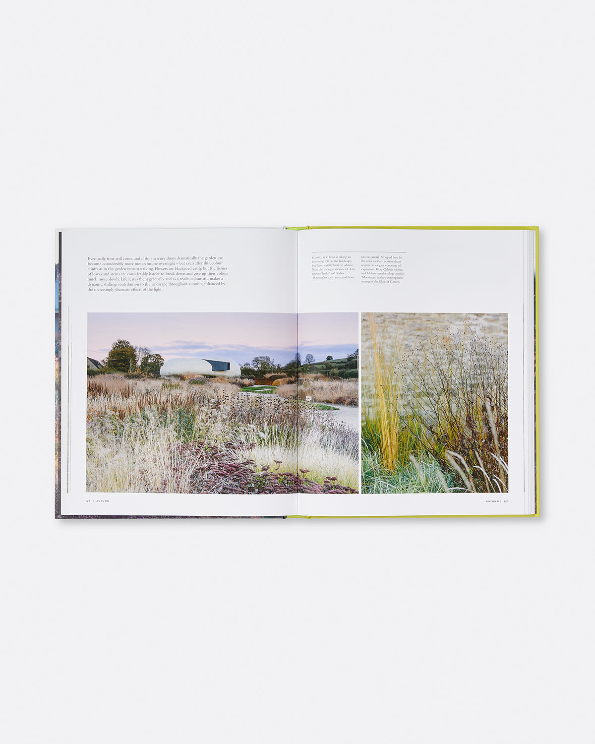 Planting the Oudolf Field at Hauser & Wirth Somerset Default Title