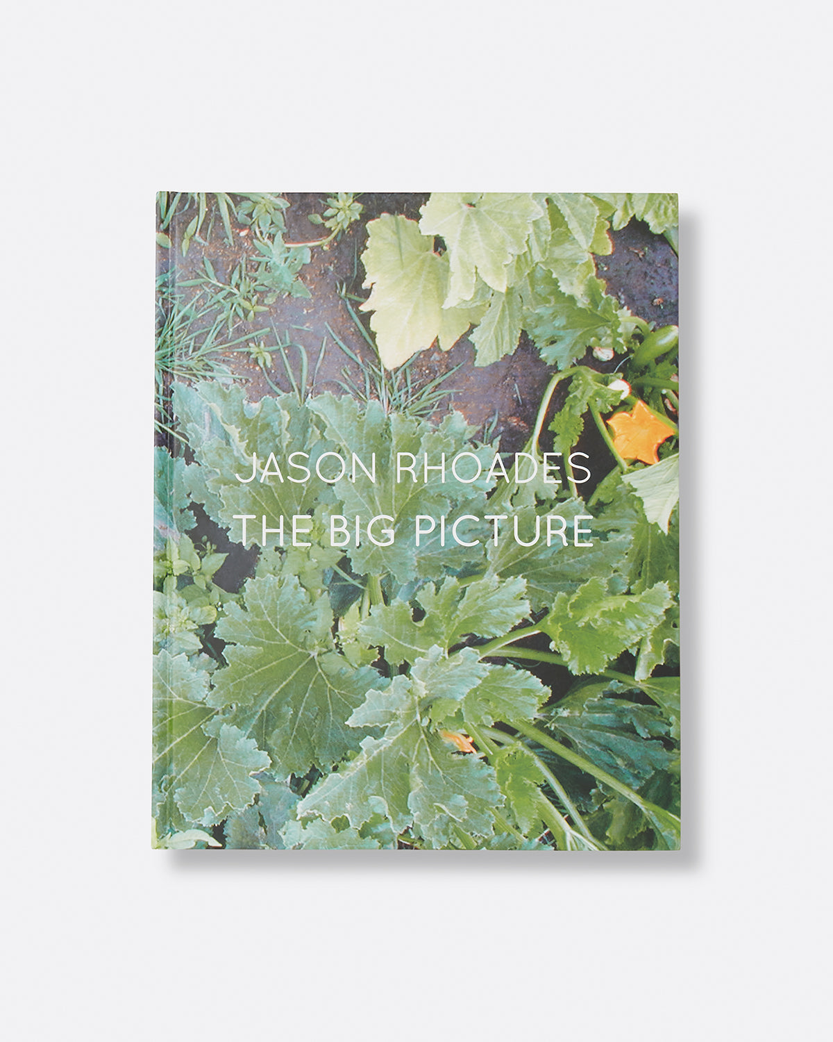 Jason Rhoades: The Big Picture Default Title