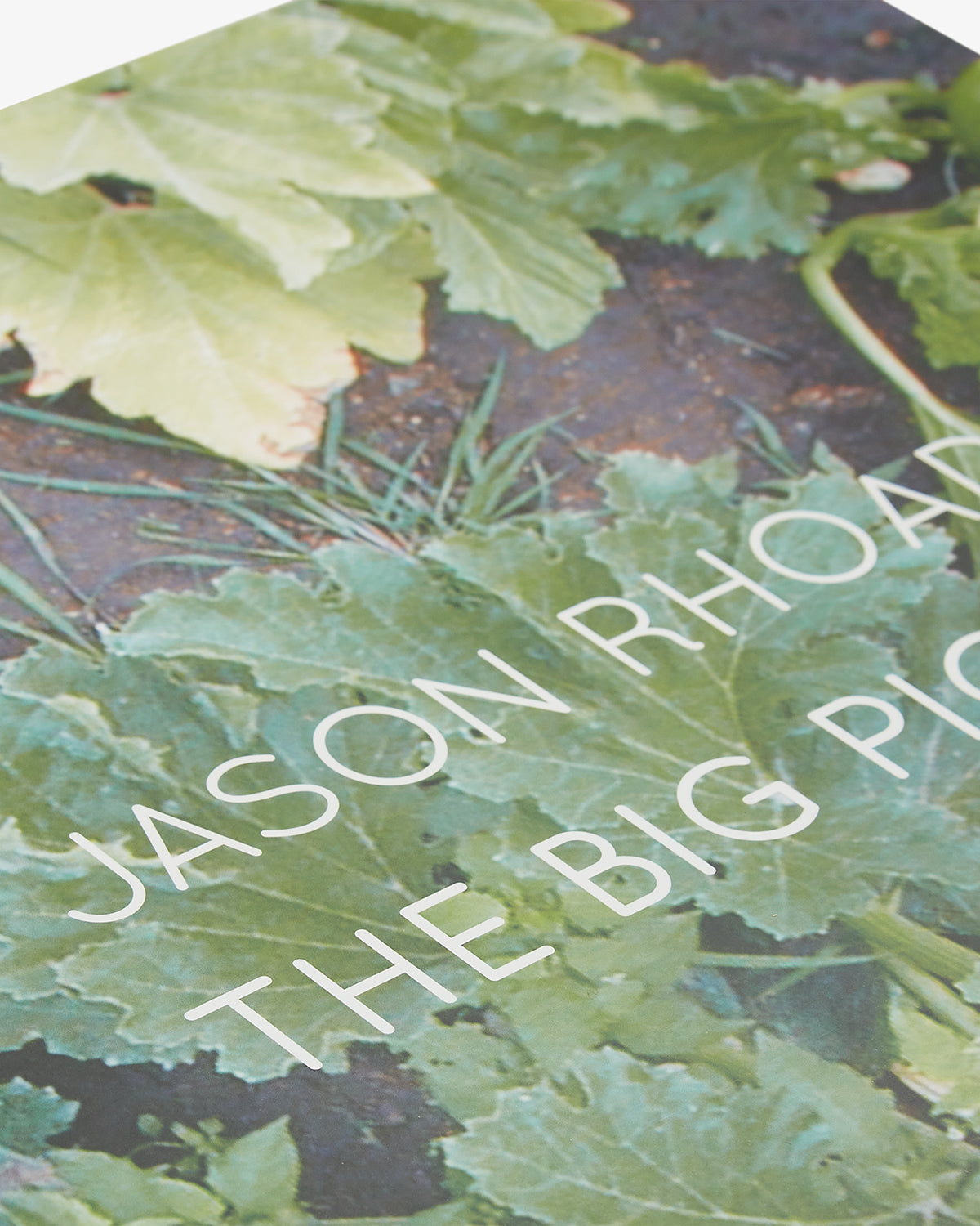 Jason Rhoades: The Big Picture Default Title