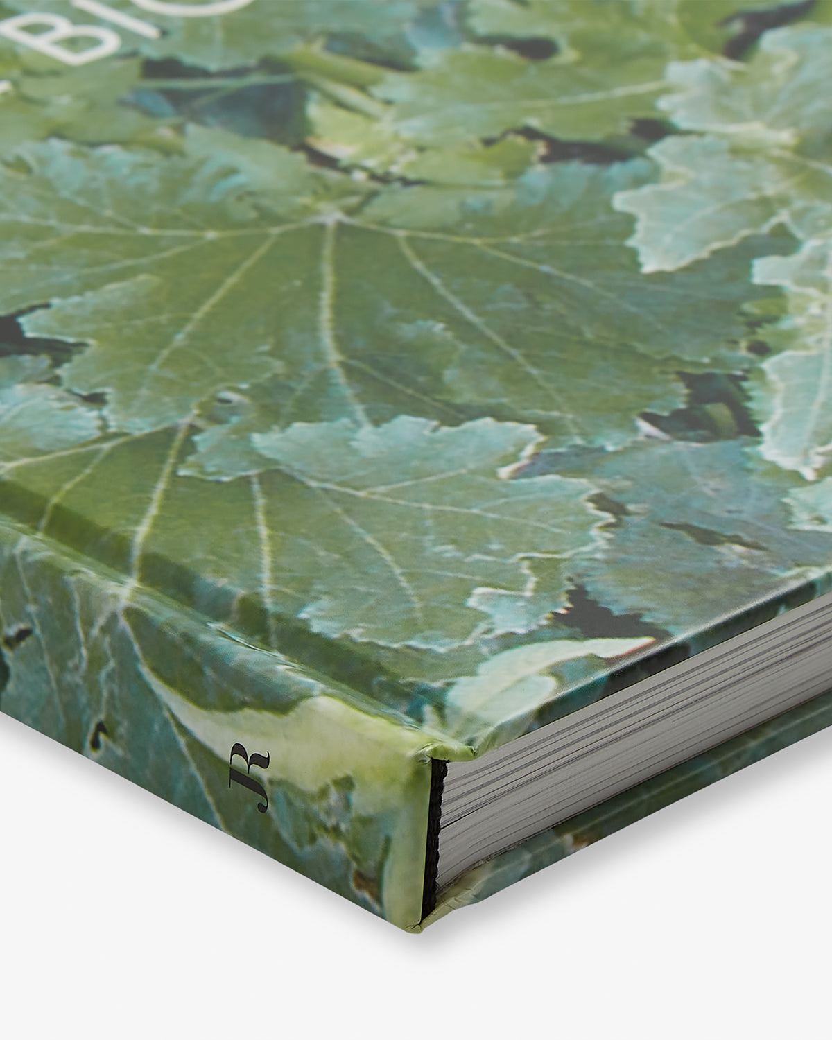 Jason Rhoades: The Big Picture Default Title