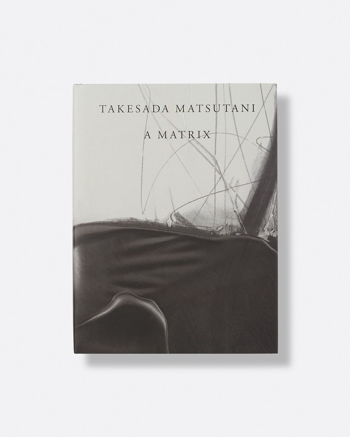 Takesada Matsutani: A Matrix Default Title