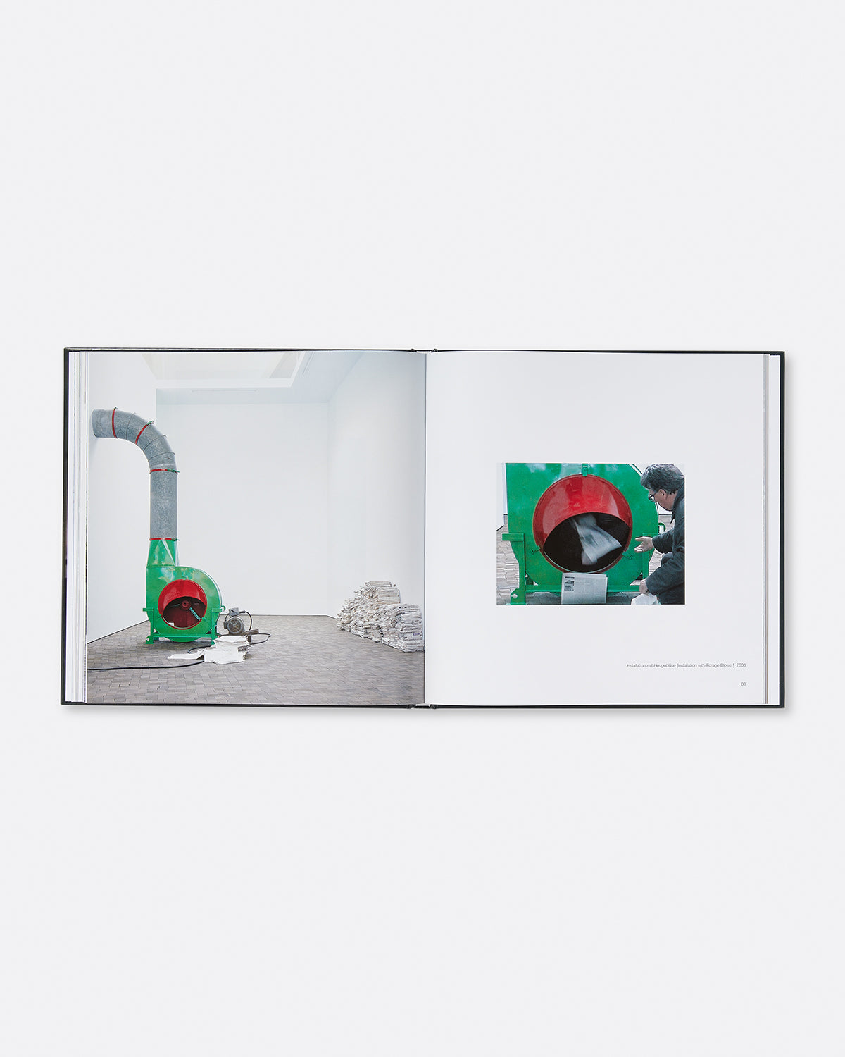 Roman Signer: Collection Hauser und Wirth Default Title