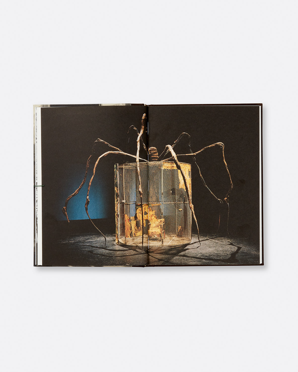 Louise Bourgeois: The Spider and the Tapestries