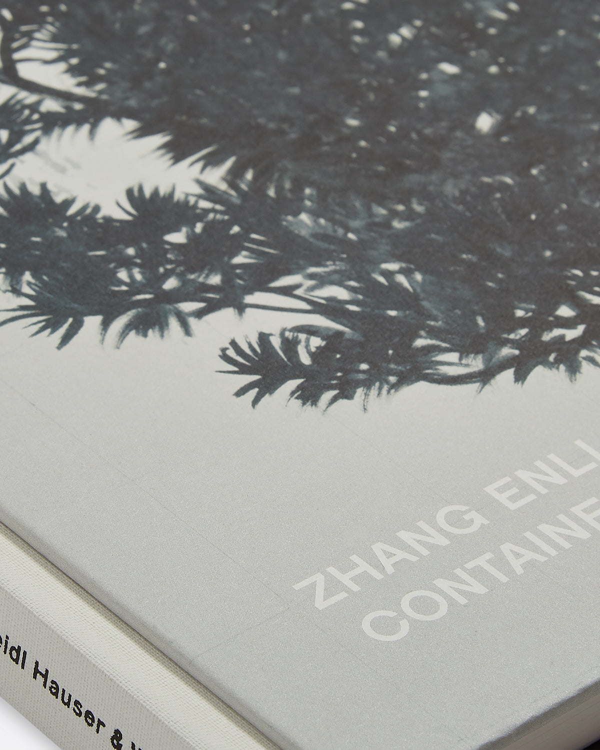 Zhang Enli: Container Default Title