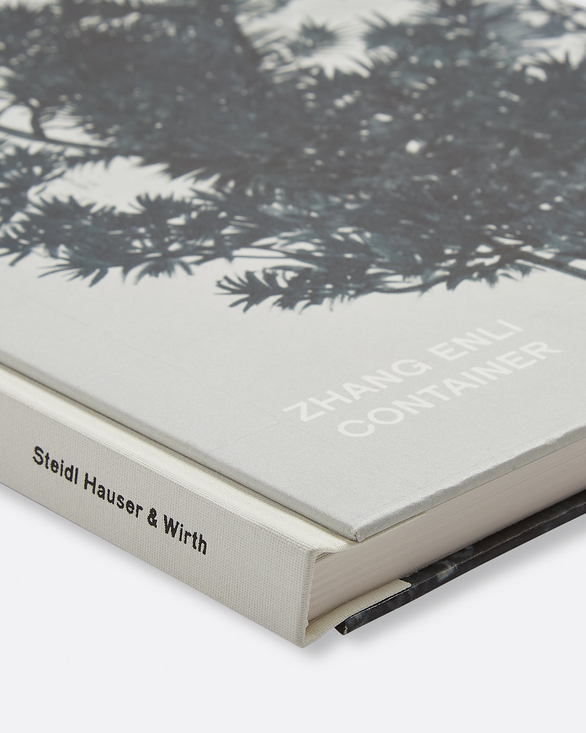 Zhang Enli: Container Default Title