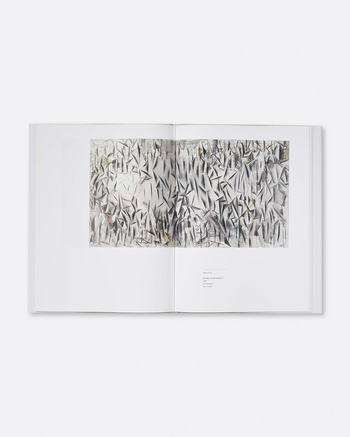 Guillermo Kuitca: Plates No 1-24 Default Title