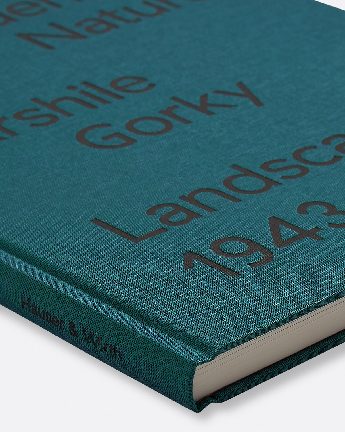 Ardent Nature. Arshile Gorky. Landscapes 1943-47 Default Title