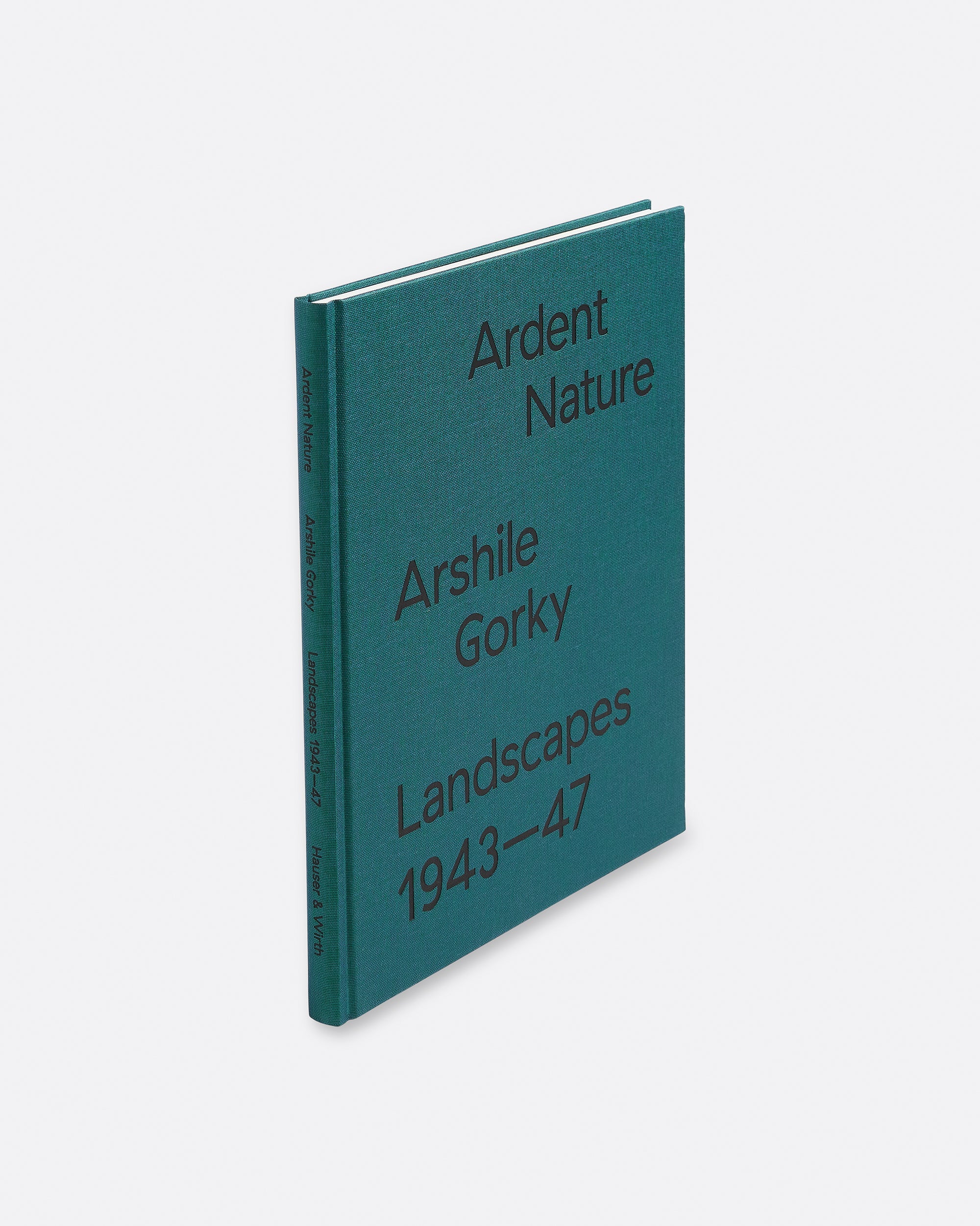 Ardent Nature. Arshile Gorky. Landscapes 1943-47 Default Title