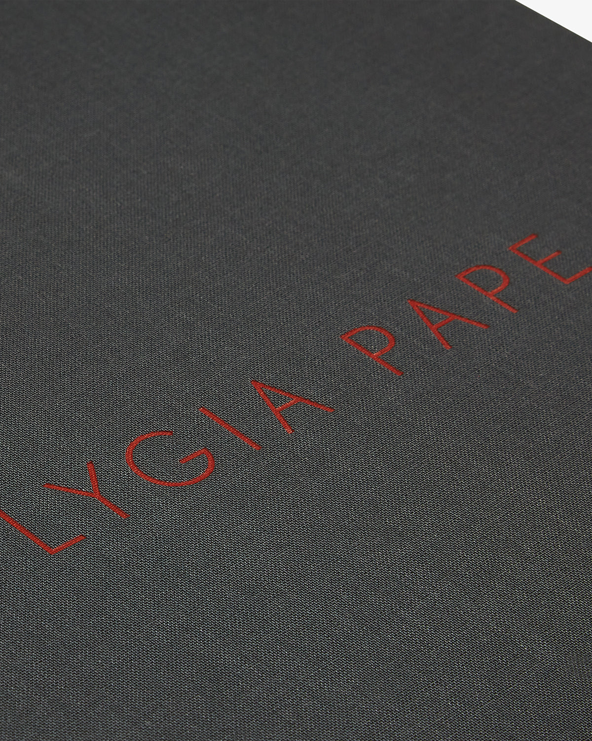 Lygia Pape