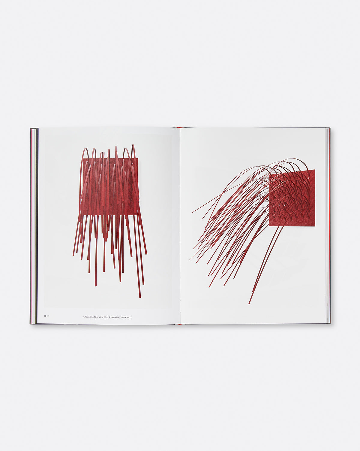 Lygia Pape