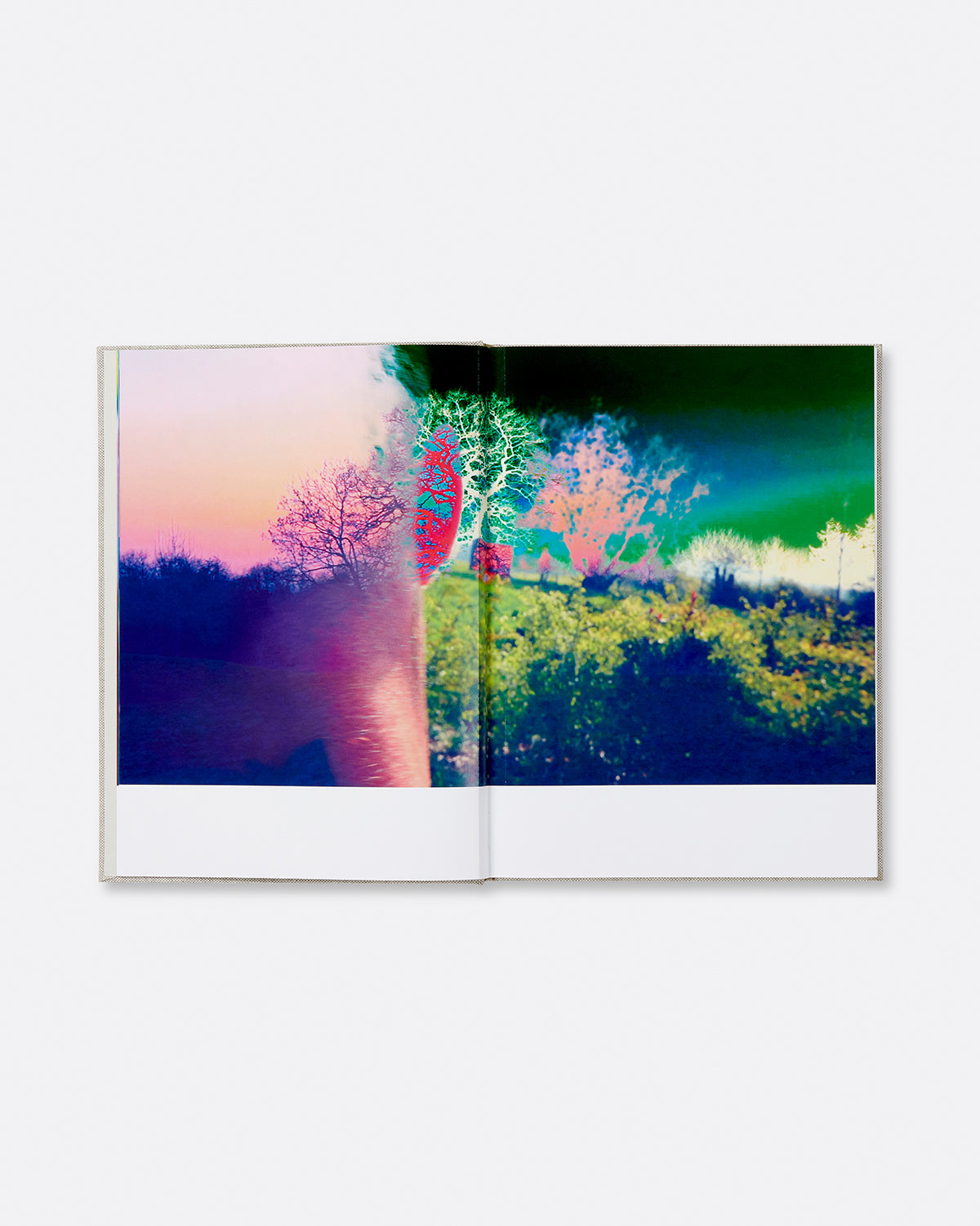 Beyond the Town: Conversations of Art and Land Default Title