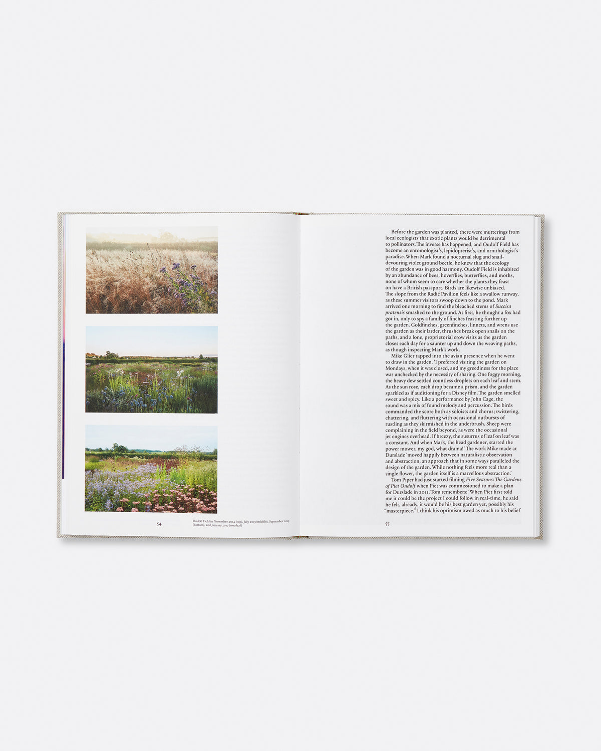 Beyond the Town: Conversations of Art and Land Default Title