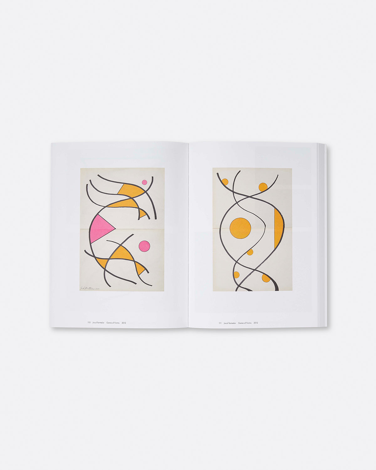 Geta Brătescu: Game of Forms Default Title