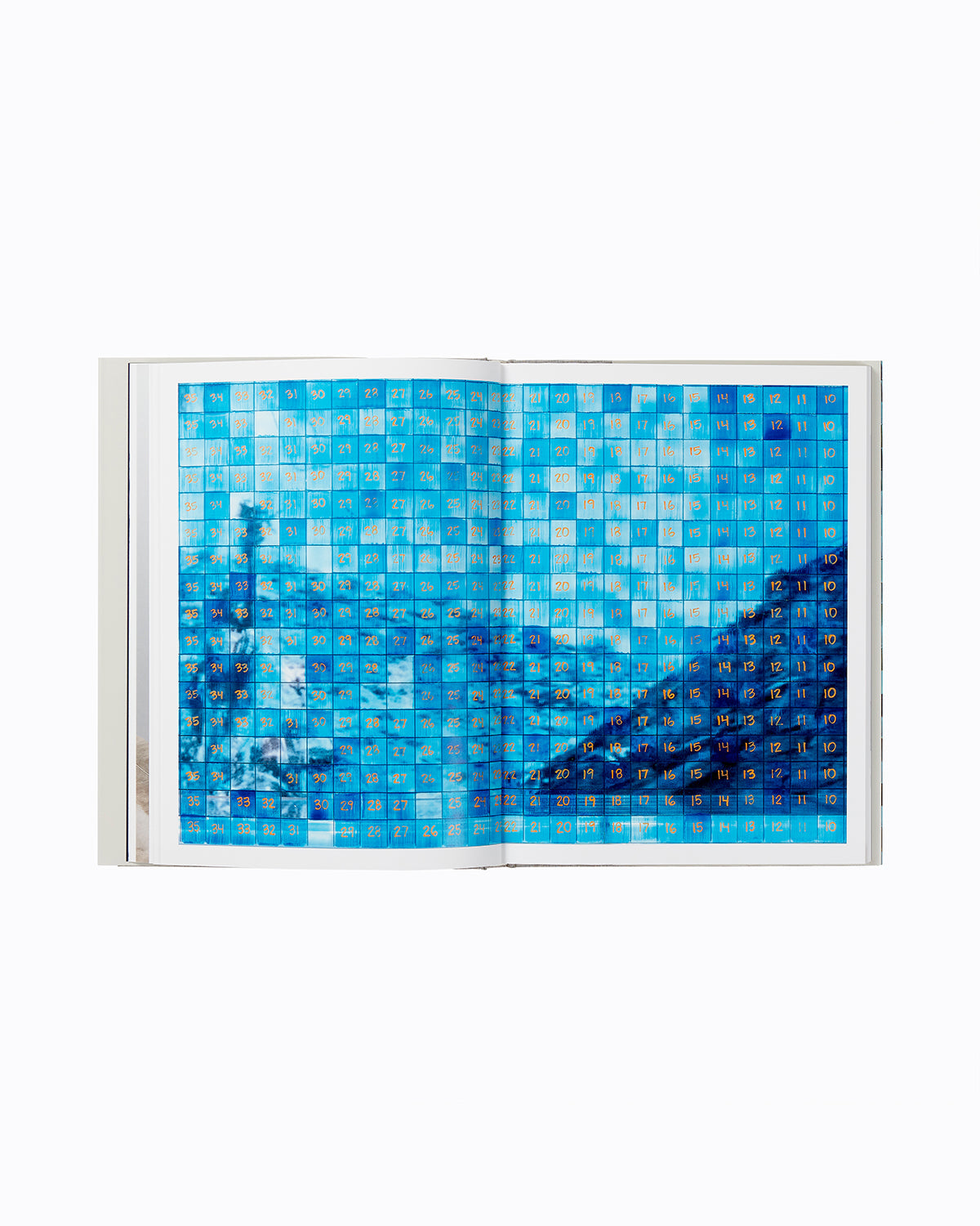 Charles Gaines: Palm Trees and Other Works Default Title