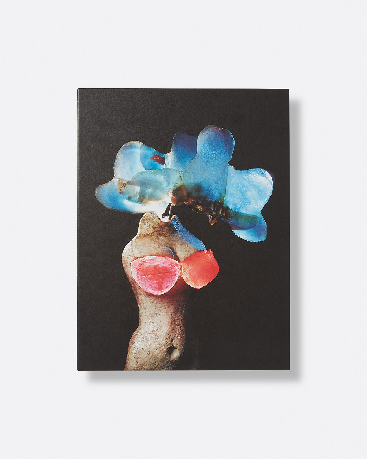 To Exalt the Ephemeral: Alina Szapocznikow, 1962-1972 Default Title