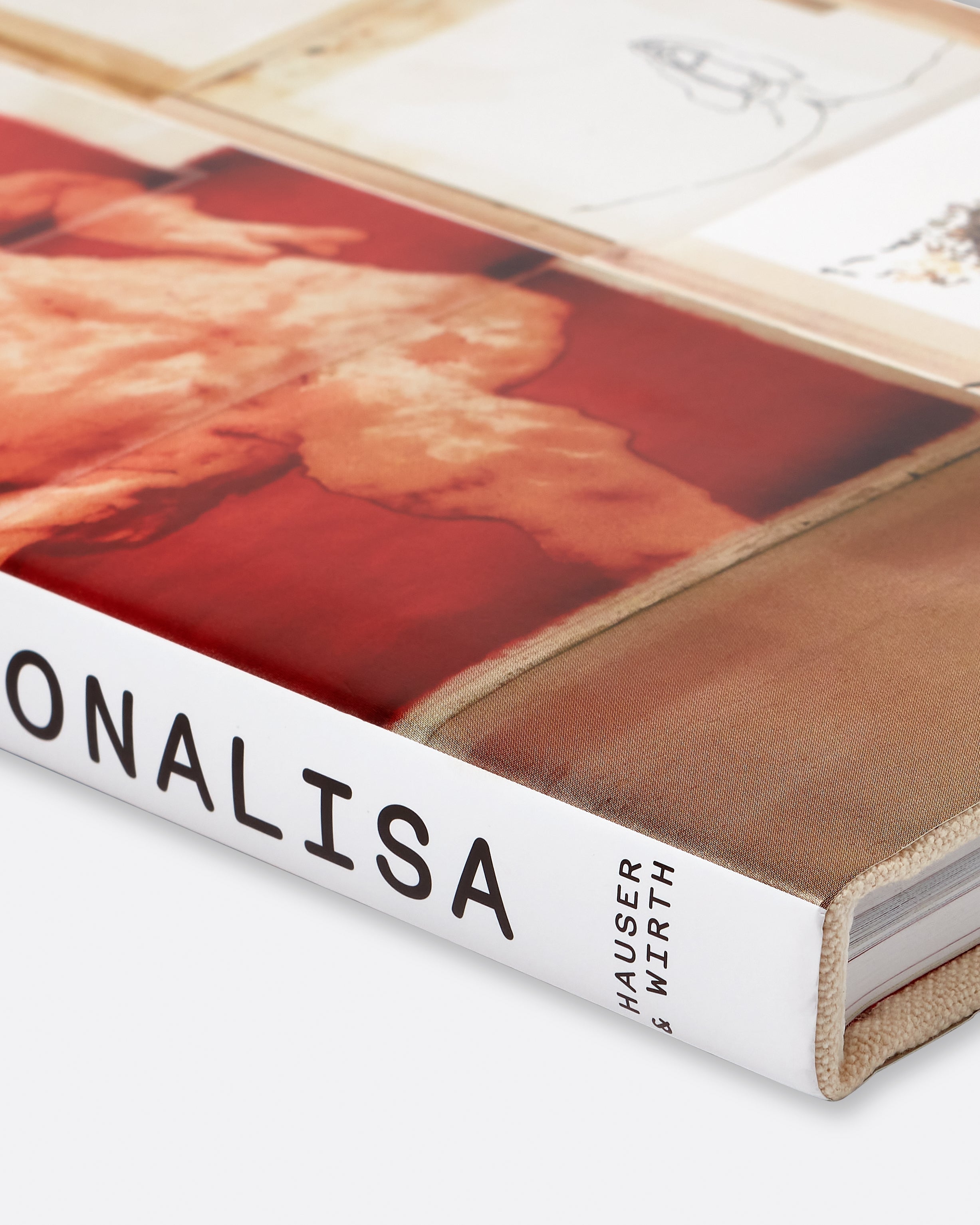 Ida Applebroog: MONALISA