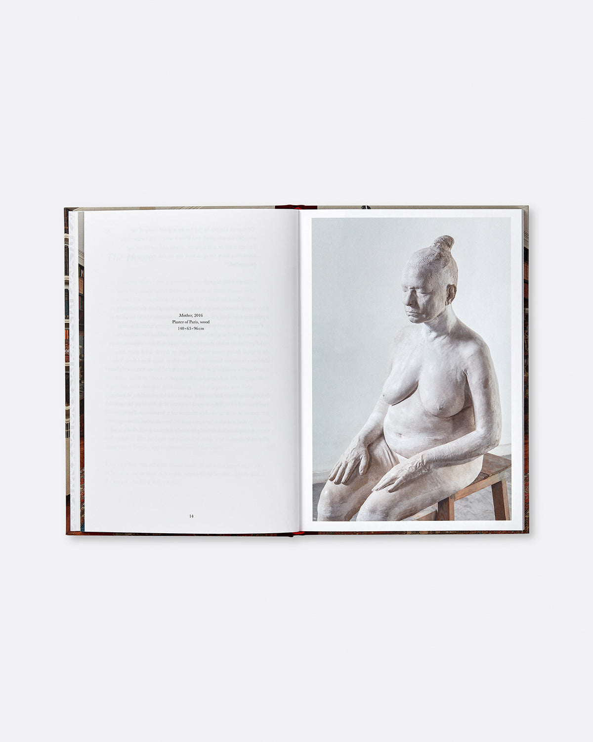 Bharti Kher: This Breathing House Default Title