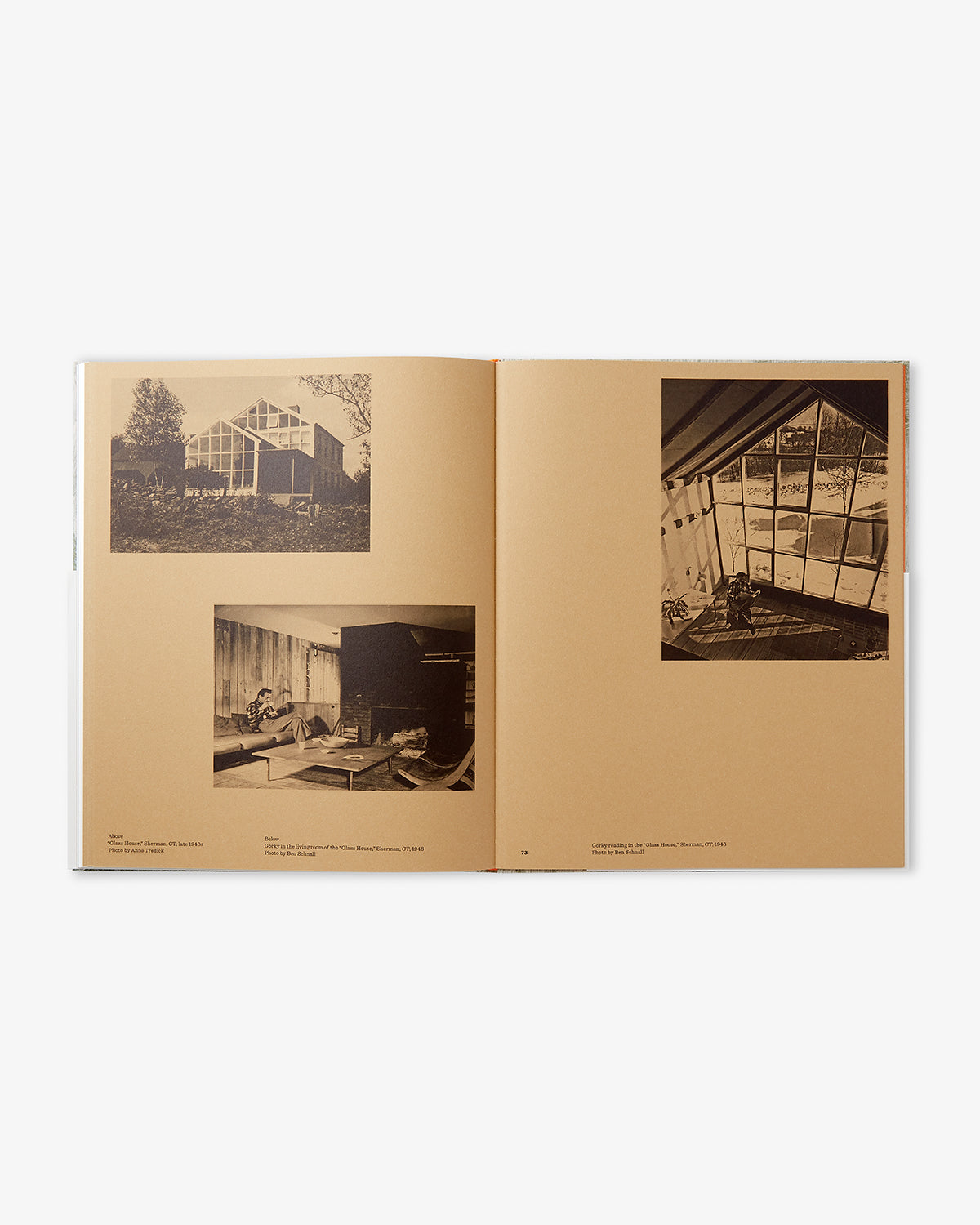 Arshile Gorky: Beyond The Limit