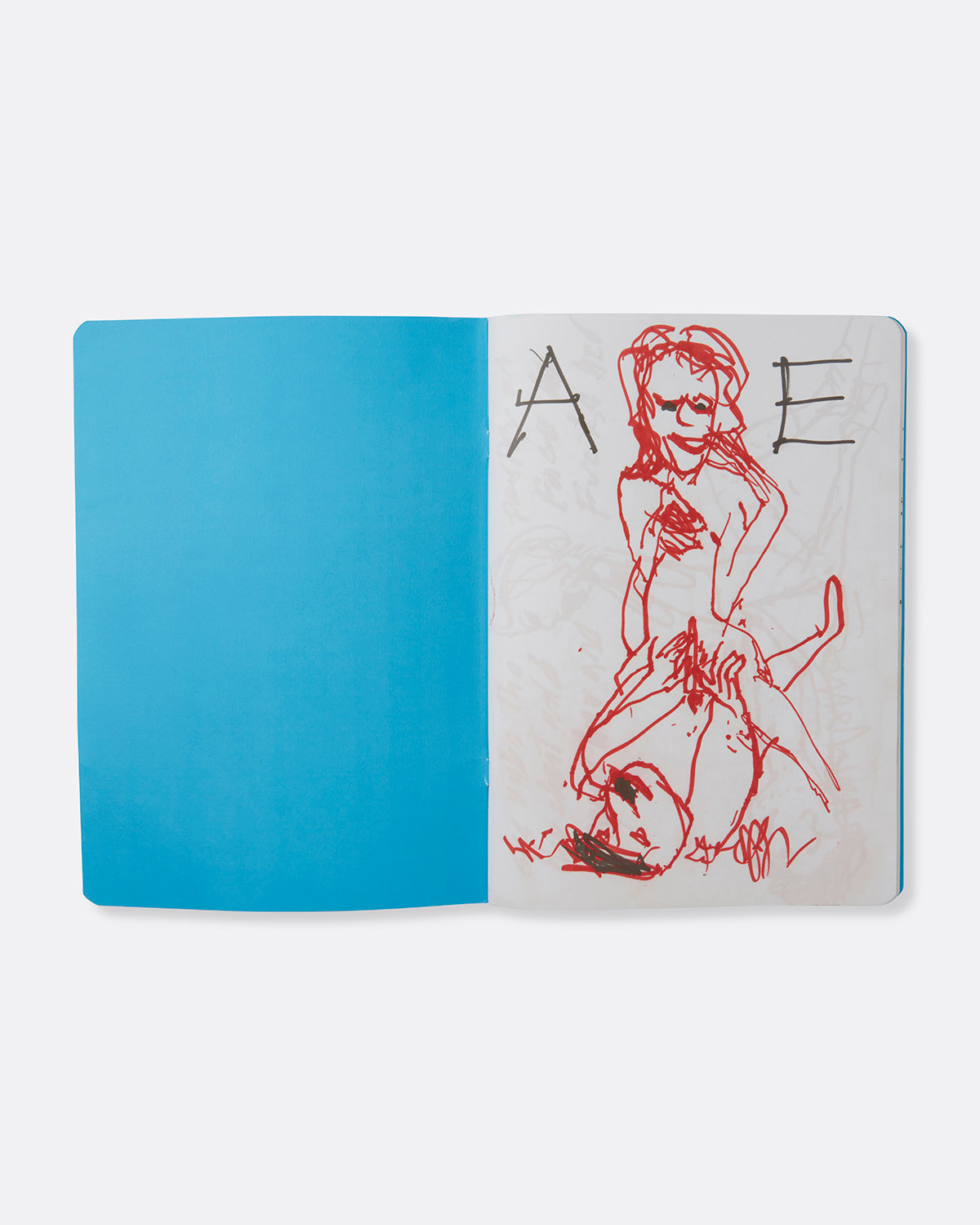 Paul McCarthy: A&E Blue Book Edition