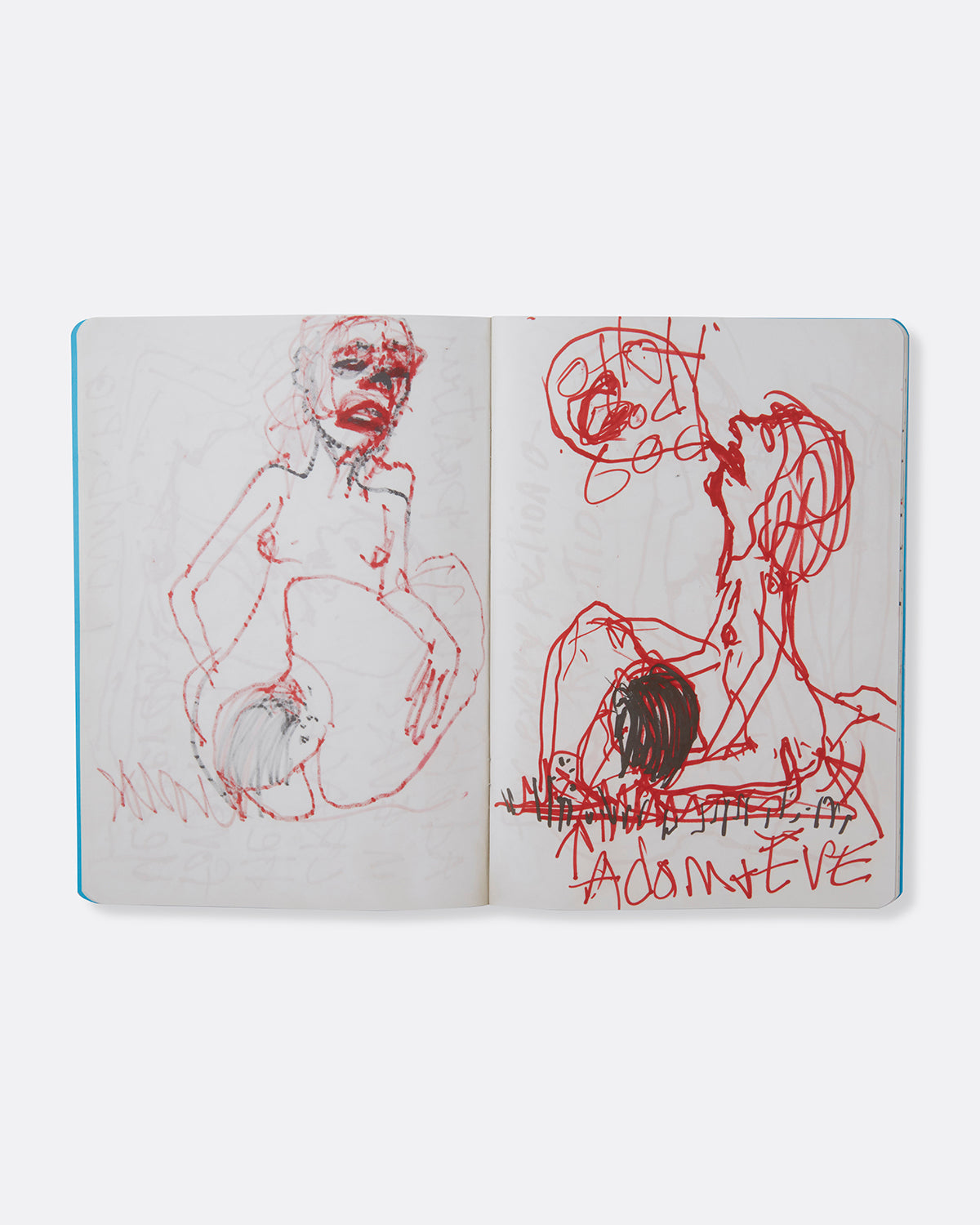 Paul McCarthy: A&E Blue Book Edition
