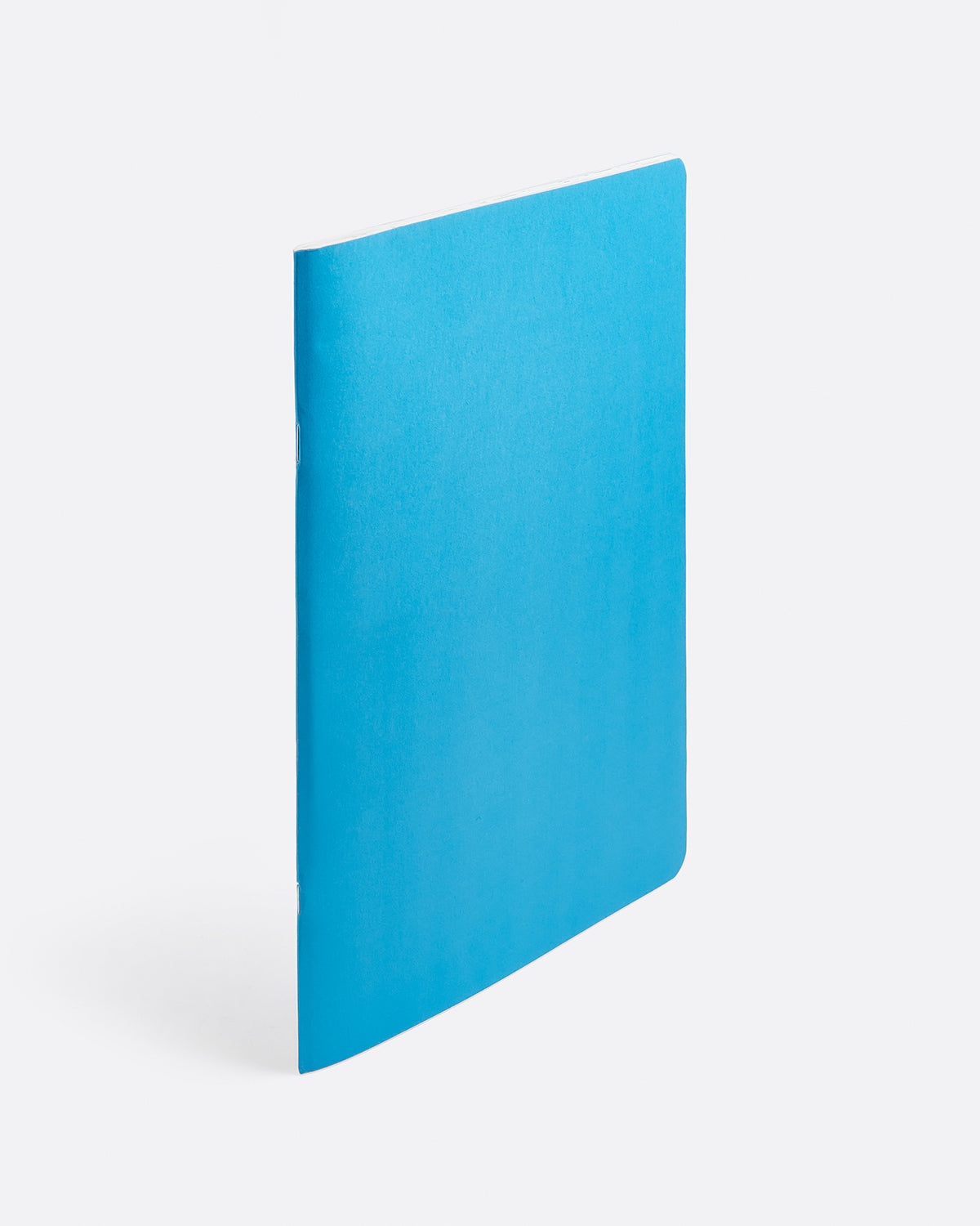 Paul McCarthy: A&E Blue Book Edition