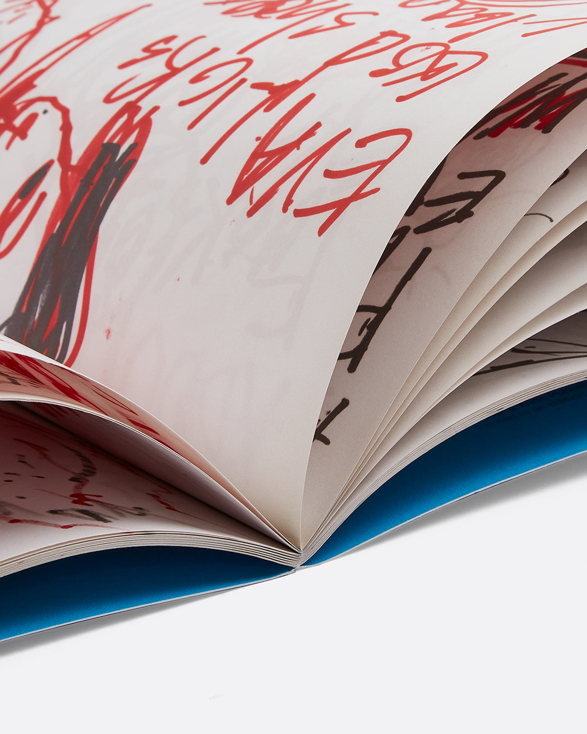 Paul McCarthy: A&E Blue Book Edition