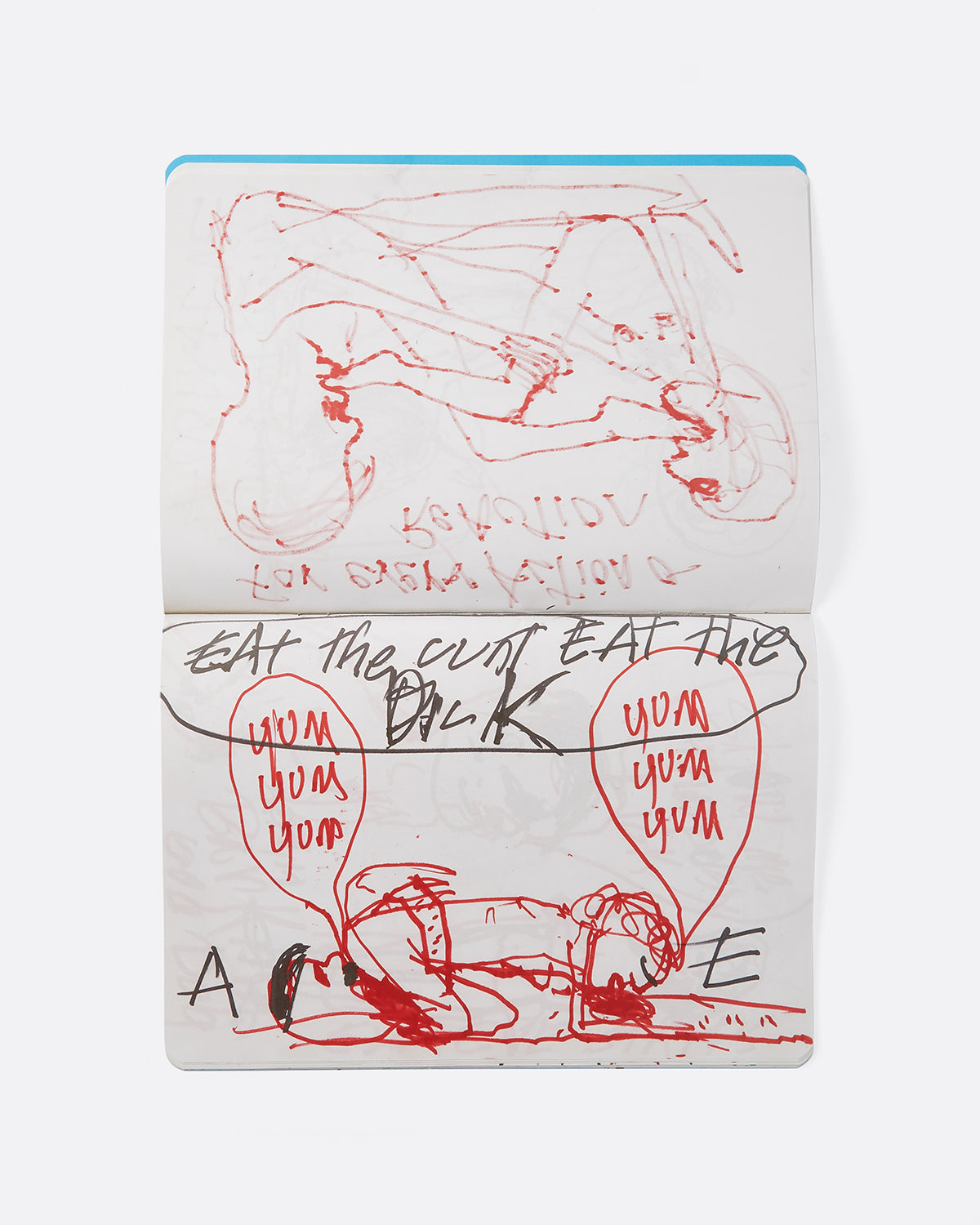 Paul McCarthy: A&E Blue Book Edition