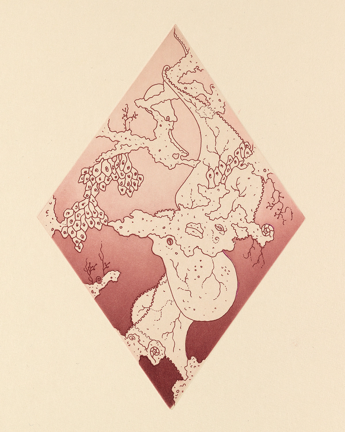 Anj Smith: Misleading, Like Lace